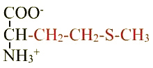 formule de l'acide aminé méthionine