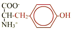 formule de l'acide aminé tyrosine