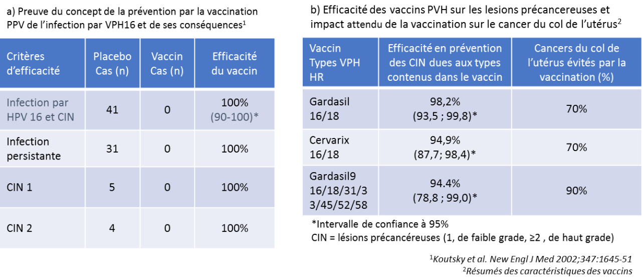 vaccin papillomavirus efficacite