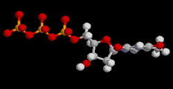 Structure moléculaire 3D du dTTP