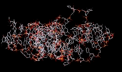 Animation représentant un ARNt en 3D