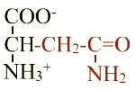 formule de l'acide aminé asparagine