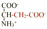 formule de l'acide aminé aspartate ou acide aspartique