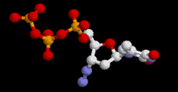 Structure moléculaire 3D de l'AZT
