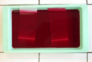 Coloration de la bande d'électrophorèse au rouge ponceau