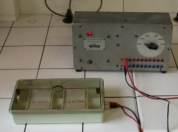 Cuve et générateur pendant la migration électrophorétique