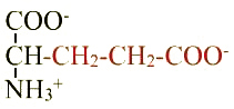 formule de l'acide aminé glutamate ou acide glutamique