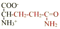formule de l'acide aminé glutamine