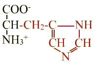 formule de l'acide aminé histidine