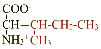 formule de l'acide aminé isoleucine
