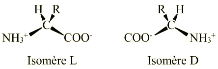 isomerie.jpg