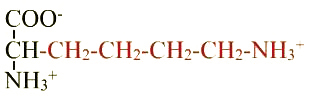formule de l'acide aminé lysine