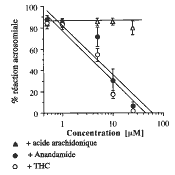 effet de l'Anandamide et du THC sur la réaction acrosomiale lors de la fécondation de l'oursin