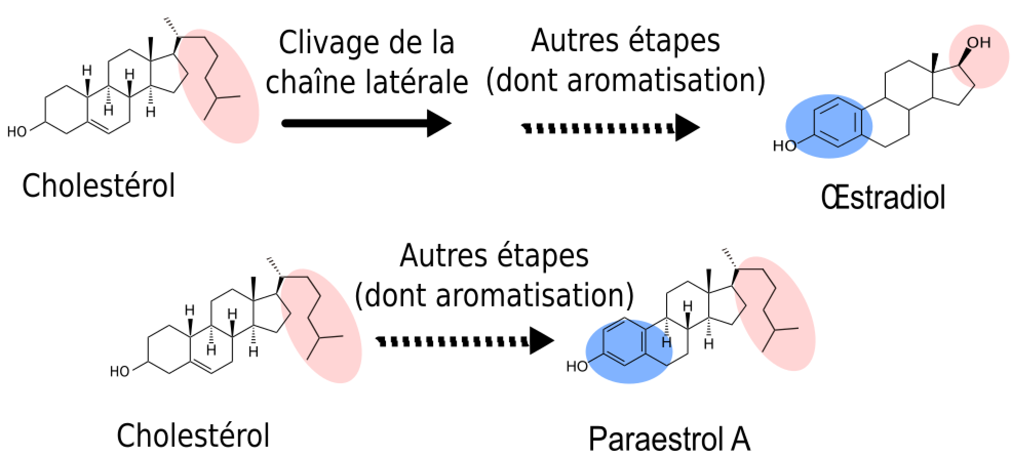 acheter steroide anabolisant france: What A Mistake!