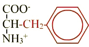 formule de l'acide aminé phénylalanine