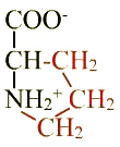 formule de l'acide aminé proline