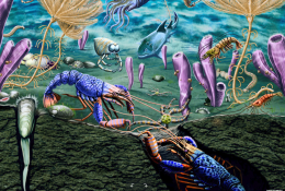 Vue d’artiste de l’écosystème marin dévoilé par le gisement paléontologique de Paris Canyon (SE Idaho, USA)