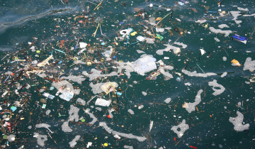 Pollution marine par les plastiques