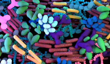 Diversité des bactéries (vue d'artiste)