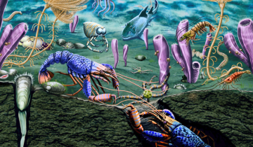 Vue d’artiste de l’écosystème marin dévoilé par le gisement paléontologique de Paris Canyon (SE Idaho, USA)