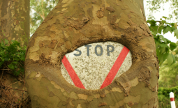 Bourrelet de recouvrement sur panneau Stop