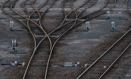 Rails et phylogénie