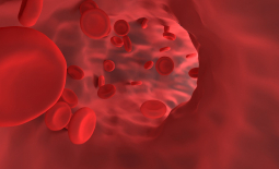 Globules rouges dans un vaisseau