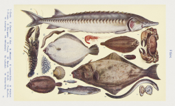Des « poissons » selon Le livre d'économie domestique par Mrs Beeton