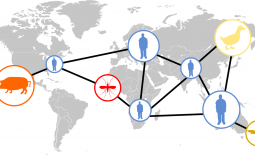 Émergence de virus
