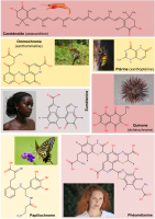 La diversité de pigments et de coloration chez les Animaux