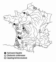 Distribution actuelle (en 1999 - 2000), en France, de différentes espèces de diatomées thermophiles, d'origine tropicale.