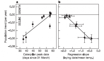 Corrélation, chez différentes populations hollandaises de gobemouche noir (Ficedula hypoleuca), entre la tendance démographique à long terme et : (a) la date du pic d’abondance de chenilles (la ressource principale de l’oiseau), (b) le coefficient de régression entre date de ponte et température printanière moyenne.