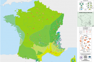 La France à l'optimum climatique holocène (8 000 ans ± 1 000 ans BP)