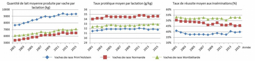 Évolution des performances moyennes des vaches de race Prim’Holstein, Normande et Montbéliarde entre 2001 et 2015 pour la quantité de lait produite par lactation, le taux protéique et le taux de réussite à l’insémination artificielle