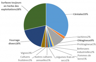 Répartition de la surface des exploitations agricoles par type de production