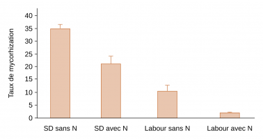 Influence du travail du sol et de la fertilisation azotée sur le taux de mycorhization des racines de blé