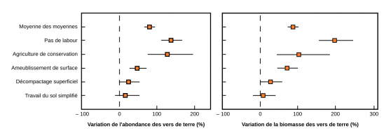 Effet de différents types de travail du sol sur l’abondance et la biomasse des vers de terre