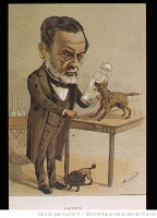 Caricature de Louis Pasteur travaillant sur la rage dans son laboratoire