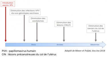 Calendrier de l’impact attendu des vaccins sur les maladies induites par l’infection