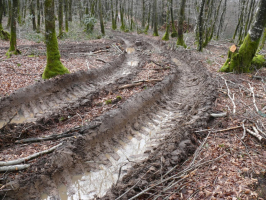 Compactage mécanique des sols lors de débardage forestier en climat tempéré atlantique