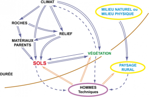 Schéma simplifié des relations entre les sols et les différents facteurs de pédogenèse