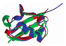 Structures de l'ubiquitine et de deux ubiquitin-like