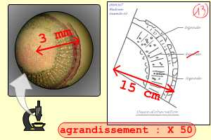 Un exemple d’agrandissement