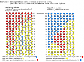 Deux exemples de dérive génétique en fonction de la ploïdie