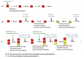 Différentes théories de l'évolution