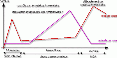 Evolution de l'infection par le VIH