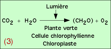 Équation bilan de la photosynthèse : équation (3)