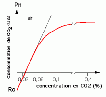 Influence de la concentration en CO2 de l’air sur la consommation en CO2 d’une plante verte