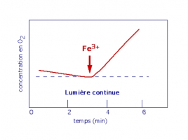 Nécessité d’un absorbeur d’électron pour la photosynthèse