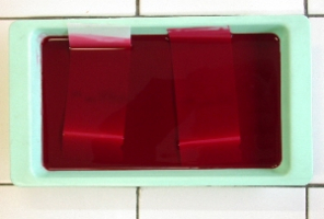 Coloration des bandes par le rouge ponceau